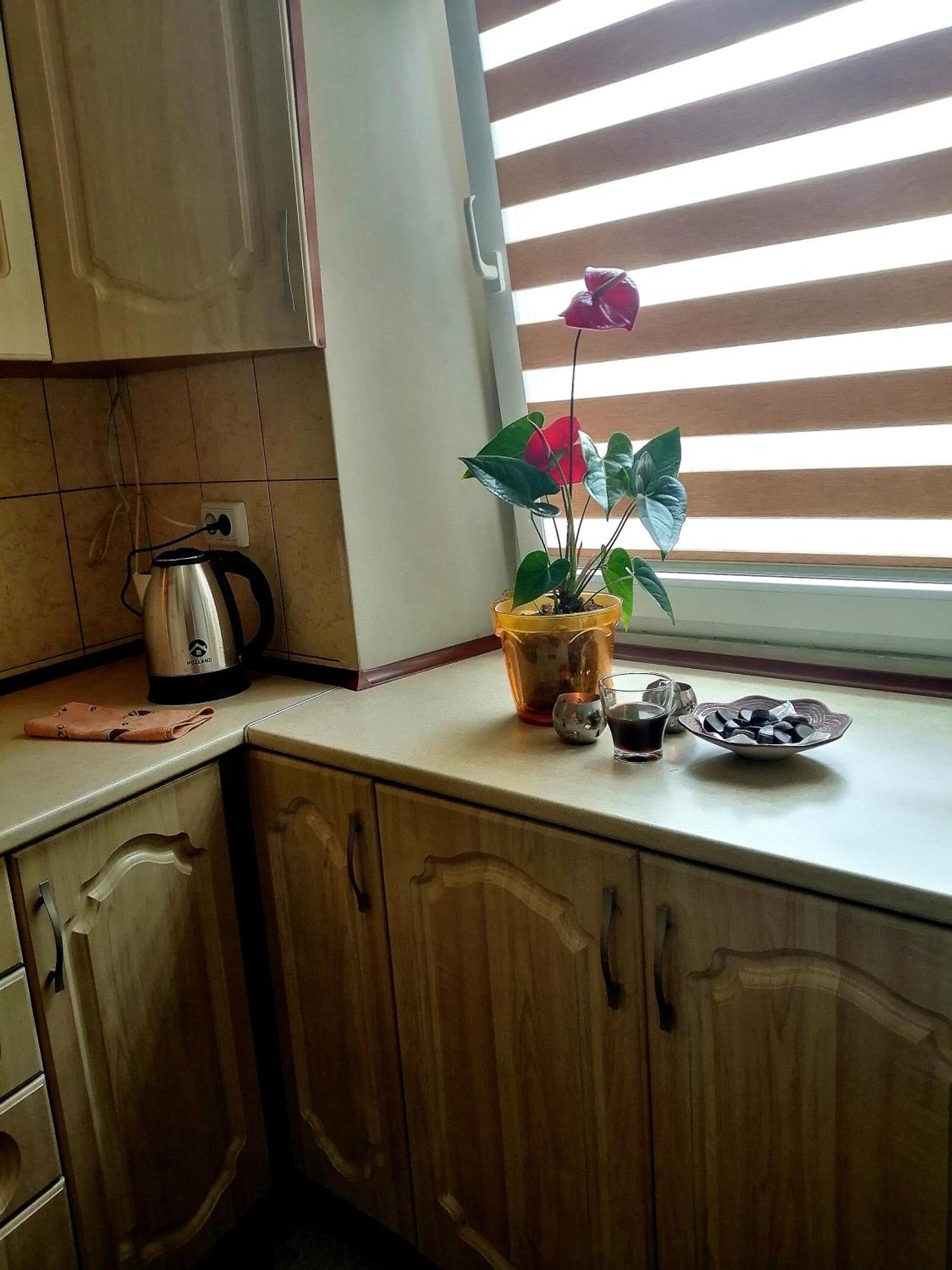 Flat On Sheptytskykh Apartment Liov Exterior foto